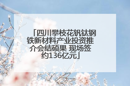 四川攀枝花钒钛钢铁新材料产业投资推介会结硕果 现场签约136亿元