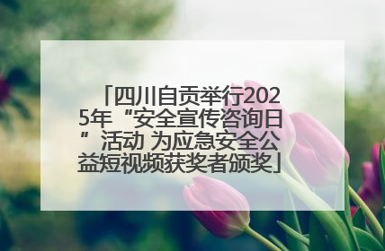 四川自贡举行2025年“安全宣传咨询日”活动 为应急安全公益短视频获奖者颁奖