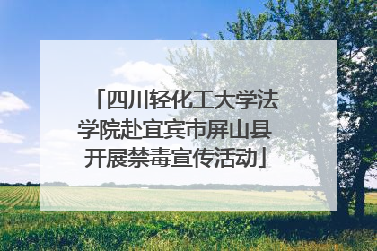 四川轻化工大学法学院赴宜宾市屏山县开展禁毒宣传活动