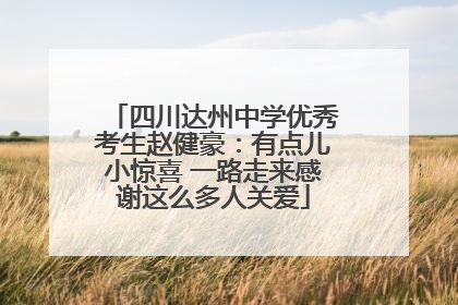 四川达州中学优秀考生赵健豪：有点儿小惊喜 一路走来感谢这么多人关爱