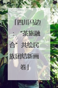 四川马边：“茶旅融合”共绘民族团结新画卷