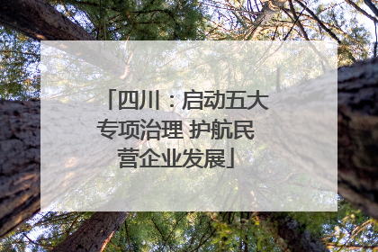 四川：启动五大专项治理 护航民营企业发展