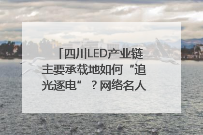四川LED产业链主要承载地如何“追光逐电”？网络名人走进攀枝花找答案｜网络名人四川行