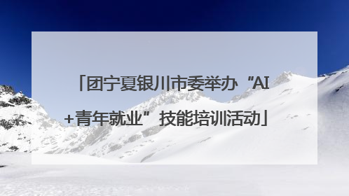团宁夏银川市委举办“AI+青年就业”技能培训活动