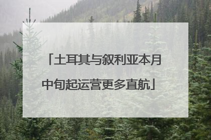 土耳其与叙利亚本月中旬起运营更多直航