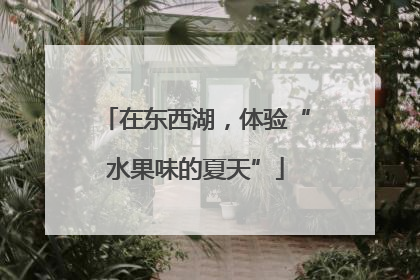 在东西湖，体验“水果味的夏天”