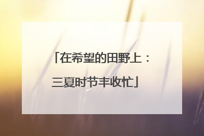 在希望的田野上：三夏时节丰收忙