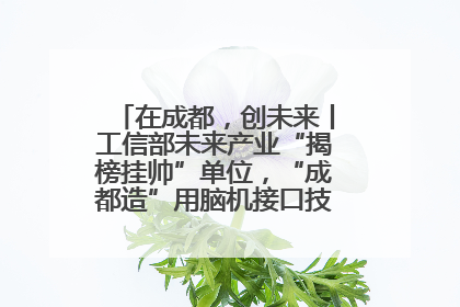 在成都，创未来丨工信部未来产业“揭榜挂帅”单位，“成都造”用脑机接口技术造福孤独症儿童