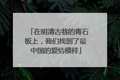 在明清古巷的青石板上，我们找到了最中国的爱情模样
