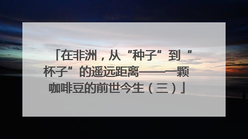 在非洲，从“种子”到“杯子”的遥远距离——一颗咖啡豆的前世今生（三）