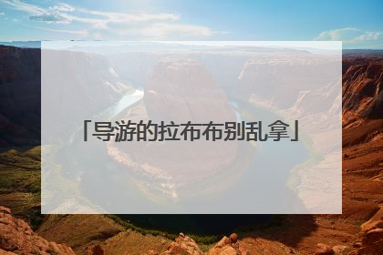 导游的拉布布别乱拿