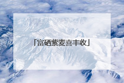 富硒紫麦喜丰收