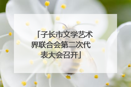 子长市文学艺术界联合会第二次代表大会召开