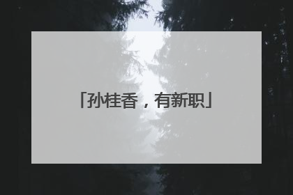 孙桂香，有新职
