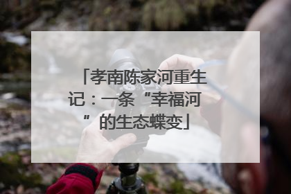 孝南陈家河重生记：一条“幸福河”的生态蝶变