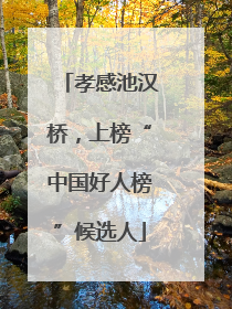 孝感池汉桥，上榜“中国好人榜”候选人