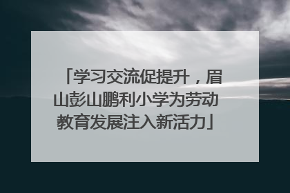 学习交流促提升，眉山彭山鹏利小学为劳动教育发展注入新活力