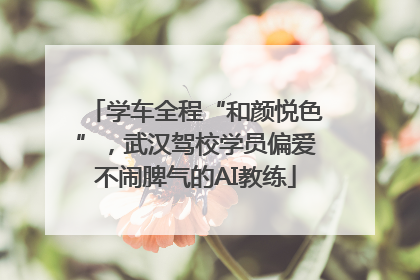 学车全程“和颜悦色”，武汉驾校学员偏爱不闹脾气的AI教练