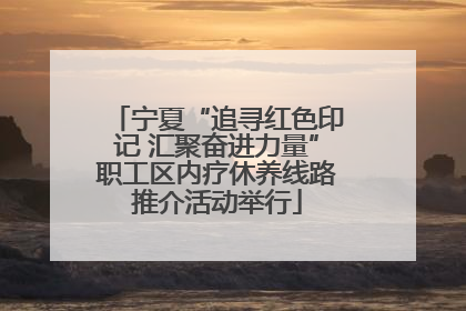 宁夏“追寻红色印记 汇聚奋进力量”职工区内疗休养线路推介活动举行