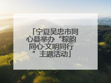 宁夏吴忠市同心县举办“粽韵同心·文明同行”主题活动