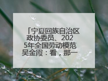 宁夏回族自治区政协委员、2025年全国劳动模范吴金霞：看，那一片金色的霞光