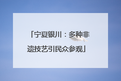 宁夏银川：多种非遗技艺引民众参观