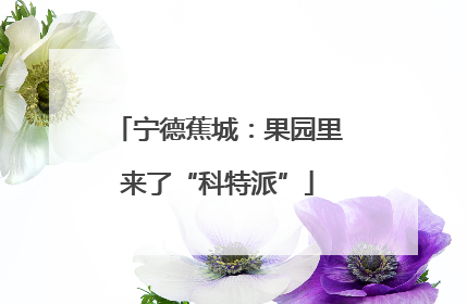 宁德蕉城：果园里来了“科特派”