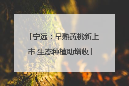 宁远：早熟黄桃新上市 生态种植助增收