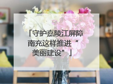 守护嘉陵江屏障 南充这样推进“美丽建设”
