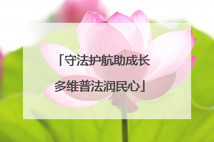 守法护航助成长 多维普法润民心