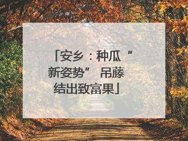 安乡：种瓜“新姿势” 吊藤结出致富果