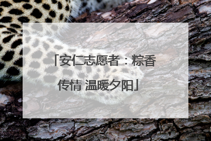 安仁志愿者:粽香传情 温暖夕阳