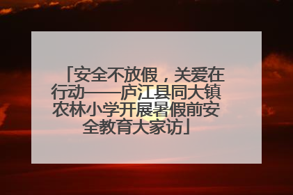 安全不放假，关爱在行动——庐江县同大镇农林小学开展暑假前安全教育大家访
