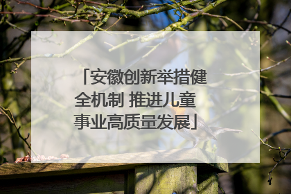 安徽创新举措健全机制 推进儿童事业高质量发展