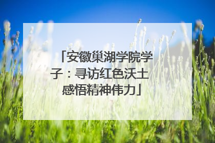 安徽巢湖学院学子：寻访红色沃土 感悟精神伟力