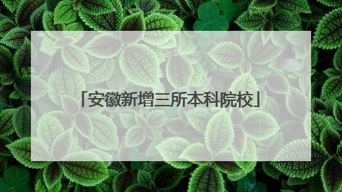 安徽新增三所本科院校