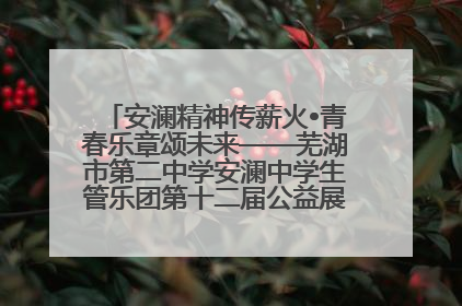 安澜精神传薪火•青春乐章颂未来——芜湖市第二中学安澜中学生管乐团第十二届公益展演圆满举行