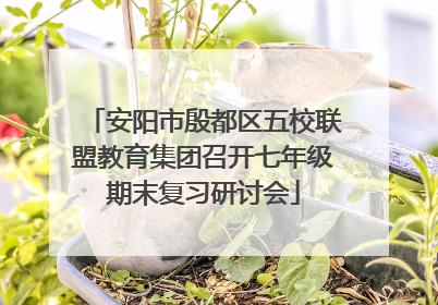 安阳市殷都区五校联盟教育集团召开七年级期末复习研讨会