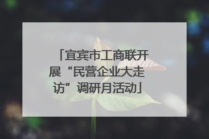 宜宾市工商联开展“民营企业大走访”调研月活动