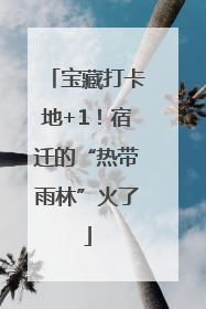 宝藏打卡地+1！宿迁的“热带雨林”火了