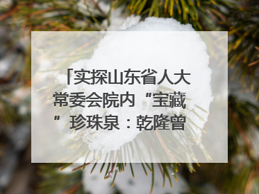 实探山东省人大常委会院内“宝藏”珍珠泉：乾隆曾为它题诗，游客无需预约免费游览