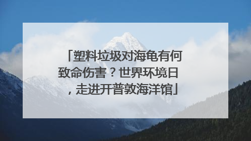 塑料垃圾对海龟有何致命伤害?世界环境日,走进开普敦海洋馆