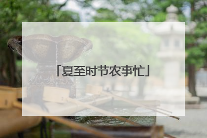 夏至时节农事忙