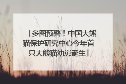 多图预警！中国大熊猫保护研究中心今年首只大熊猫幼崽诞生