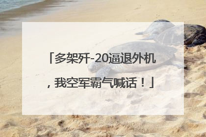 多架歼-20逼退外机，我空军霸气喊话！