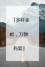 多样秦岭，万物有爱