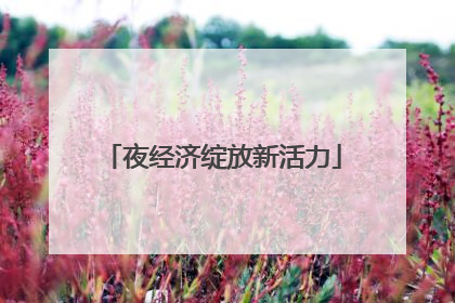 夜经济绽放新活力