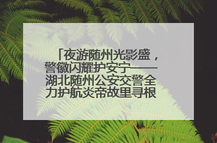 夜游随州光影盛，警徽闪耀护安宁——湖北随州公安交警全力护航炎帝故里寻根节夜游活动侧记