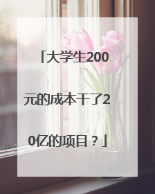 大学生200元的成本干了20亿的项目？