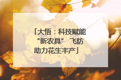 大悟：科技赋能“新农具” 飞防助力花生丰产